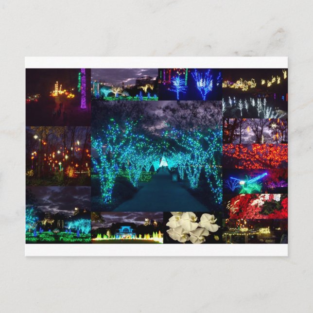 Carte Postale Jardin botanique Atlanta (Devant)