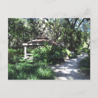 Carte Postale Jardin botanique de Floride