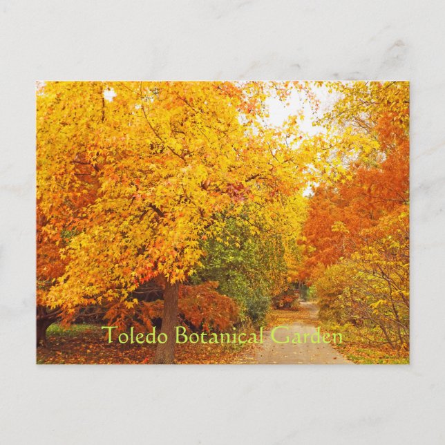 CARTE POSTALE/JARDIN BOTANIQUE DE TOLÈDE/CHEMIN D' (Devant)