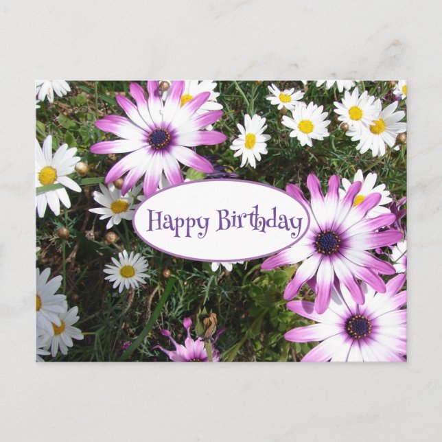 Carte Postale Jardin de Fleur de marguerite violet blanc Joyeux  (Devant)