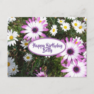 Carte Postale Jardin de fleurs de marguerite blanche violette Jo