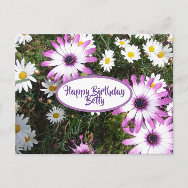 Carte Postale Jardin de fleurs de marguerite blanche violette Jo (Devant)