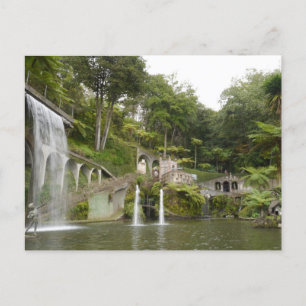 Carte Postale Jardin de Funchal, Madère, Portugal