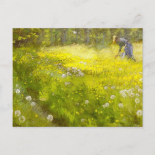 Carte Postale Jardin de Kroyer à Skagen