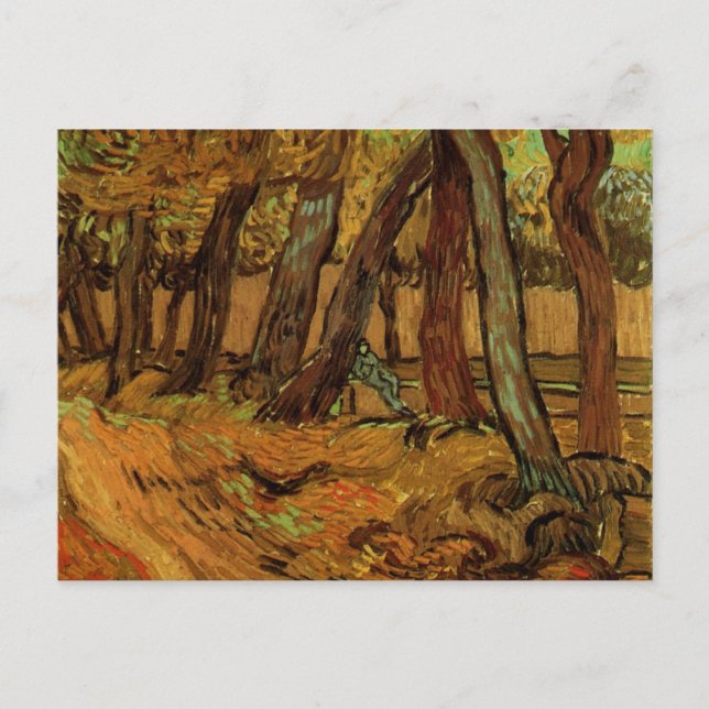 Carte Postale Jardin de l'hôpital Saint-Paul, figure de Vincent  (Devant)