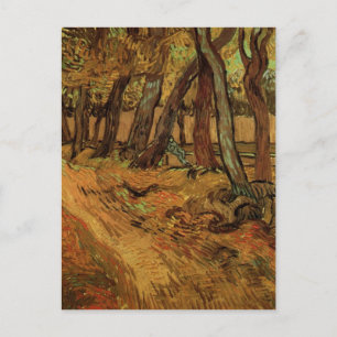 Carte Postale Jardin de l'hôpital St-Paul, Figure, Van Gogh Beau