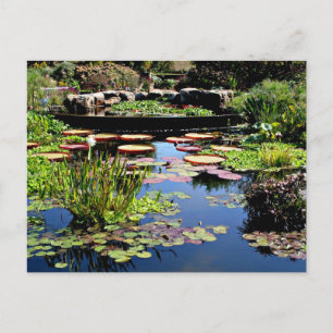 Carte Postale Jardin d'eau