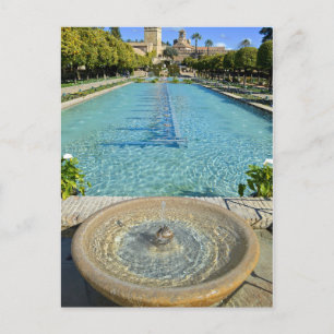 Carte Postale Jardin d'eau paisible