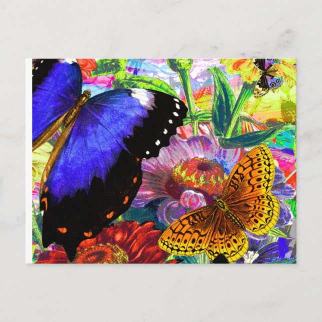 Carte Postale Jardin des papillons (Devant)