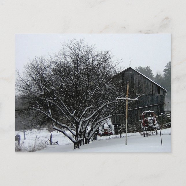 Carte Postale Jardin des parents de neige (Devant)