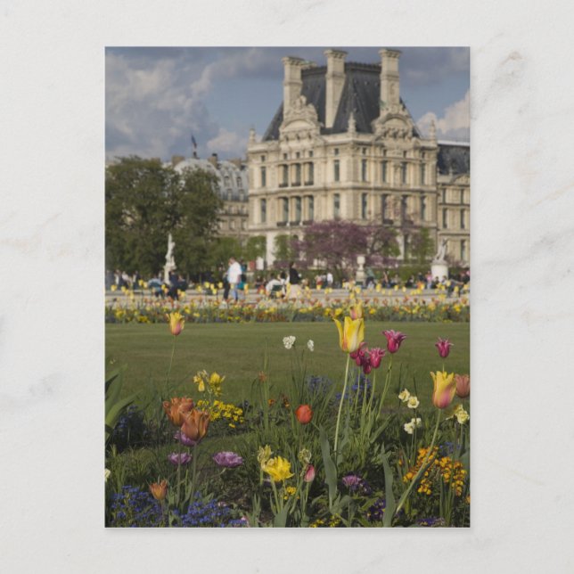 Carte Postale Jardin des Tuileries, Louvre, Paris, France (Devant)