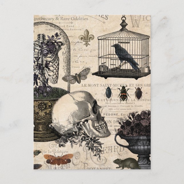 Carte Postale Jardin d'Halloween Vintage (Devant)