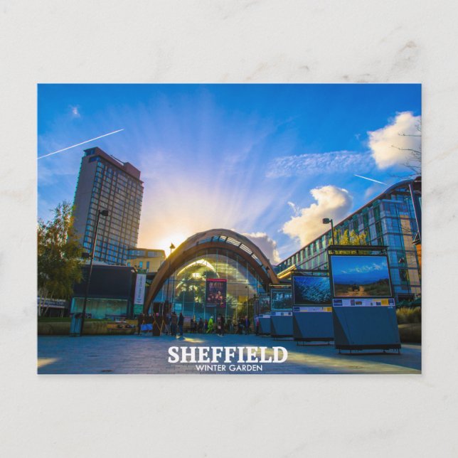 Carte Postale Jardin d'hiver de Sheffield (Devant)