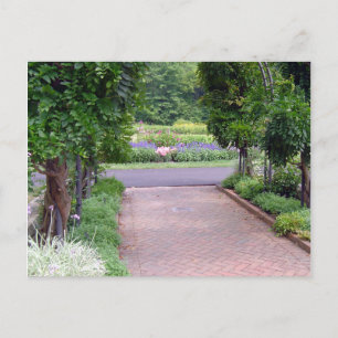 Carte Postale Jardin d'Inniswood