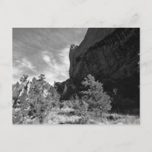 Carte Postale Jardin du parc Gods Colorado Paysage