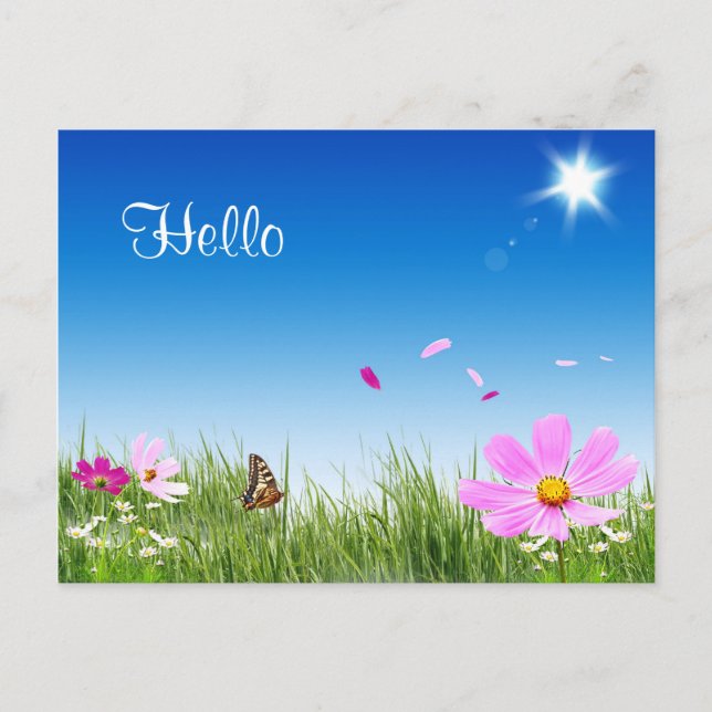Carte Postale Jardin Fleur Papillon Bonjour Margue (Devant)