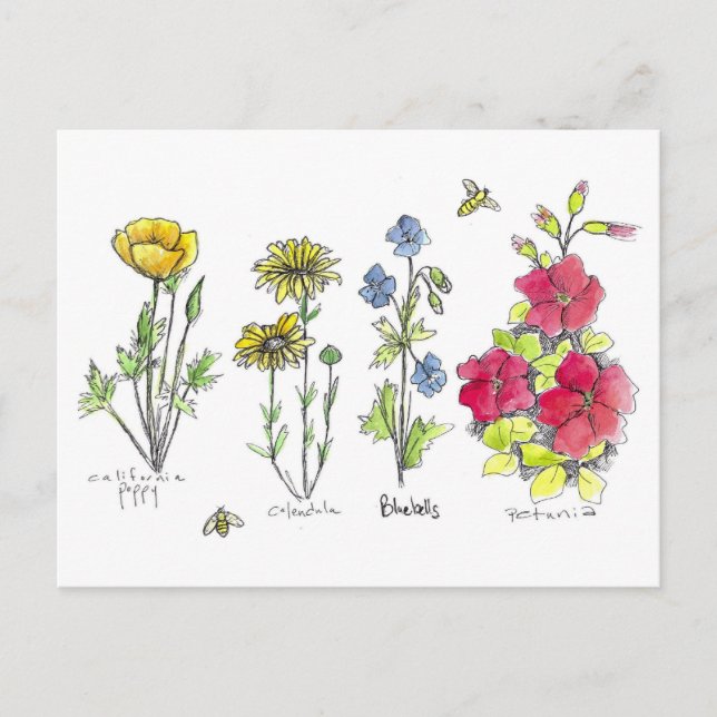 Carte Postale Jardin fleur sauvage Botanique Aquarelle Art Bees (Devant)