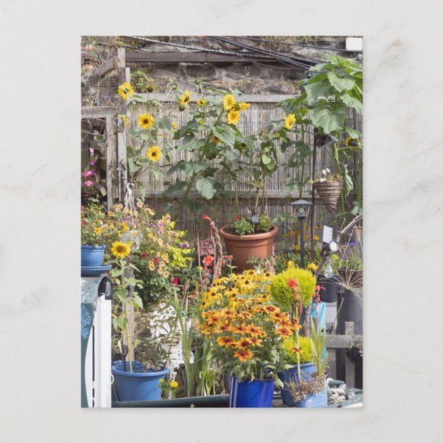 Carte Postale Jardin fleuri et bateau étroit (Devant)