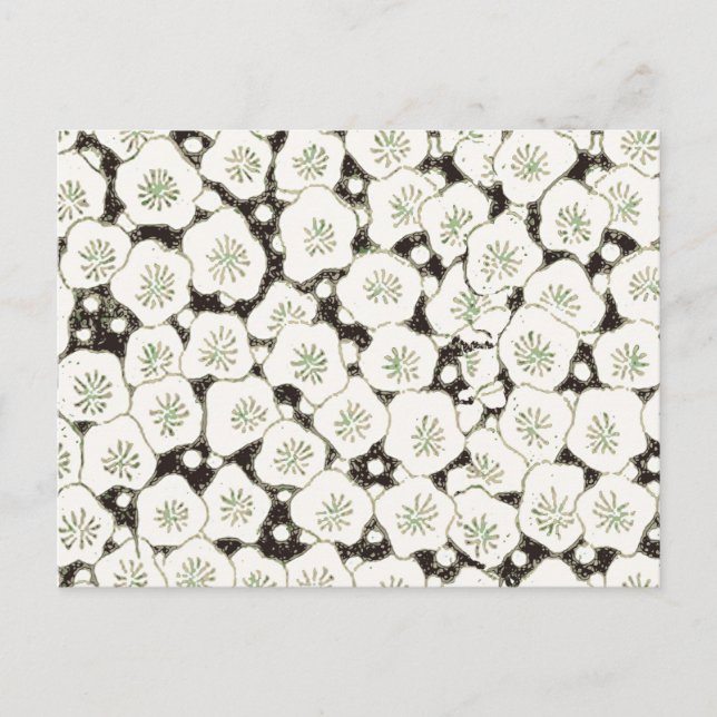 Carte Postale Jardin floral à fleurs blanches du Japon (Devant)