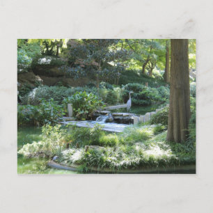 Carte Postale Jardin japonais à Fort Worth Texas # 44