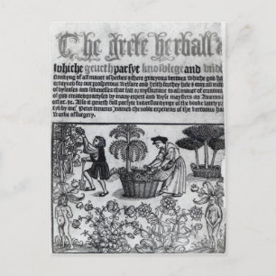 Carte Postale Jardin médiéval aux herbes