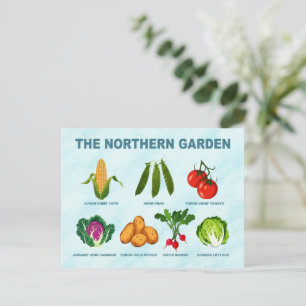 Carte Postale Jardin potager du Nord