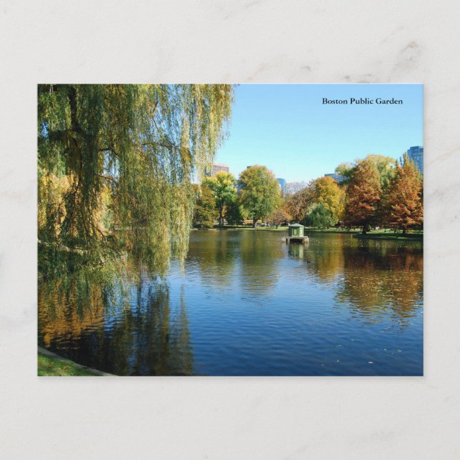 Carte Postale Jardin public de Boston (Devant)