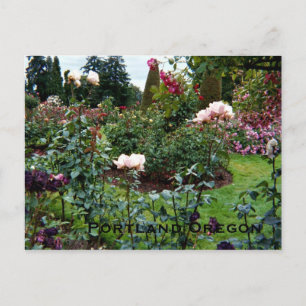 Carte Postale Jardin Rose aux couleurs patriotiques