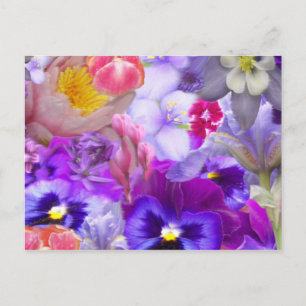 Carte Postale Jardin Rotary