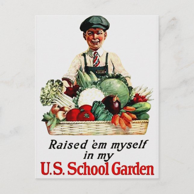 Carte Postale Jardin scolaire (Devant)