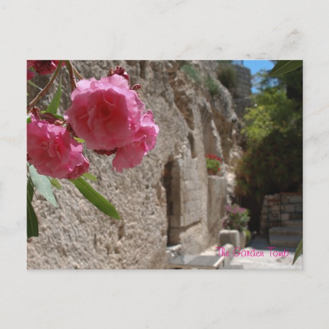 Carte Postale Jardin Tombeau Jeruselum Isreal (Devant)