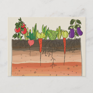 Carte Postale Jardin végétal sol couches de terre nature art