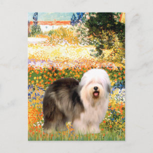 Carte Postale Jardin (VGogh) - Old English 12
