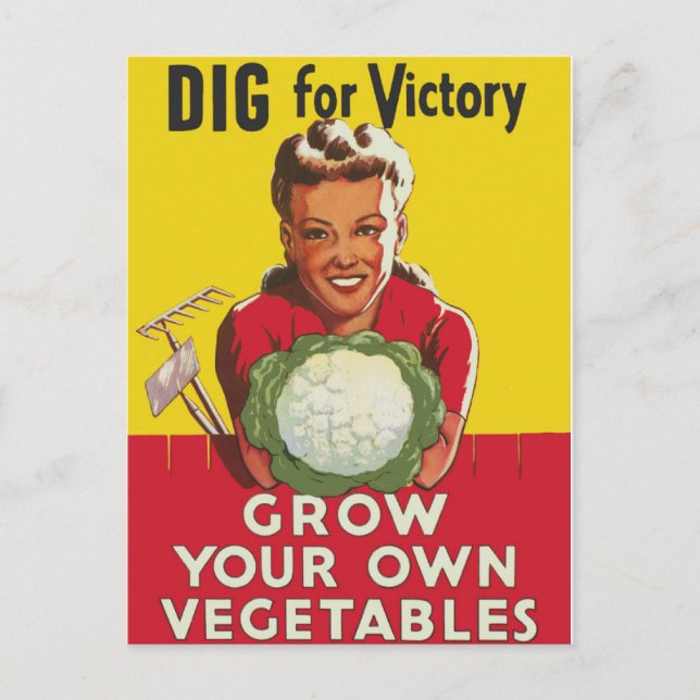 Carte Postale Jardin Victory (Devant)