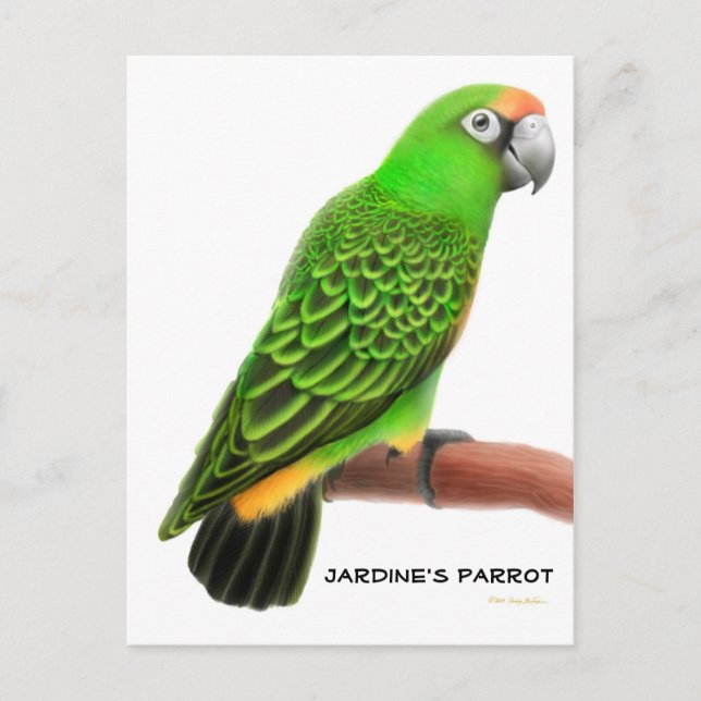Carte postale Jardines Parrot (Devant)