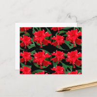 Jardinier Hibiscus Monstera Motif Noir