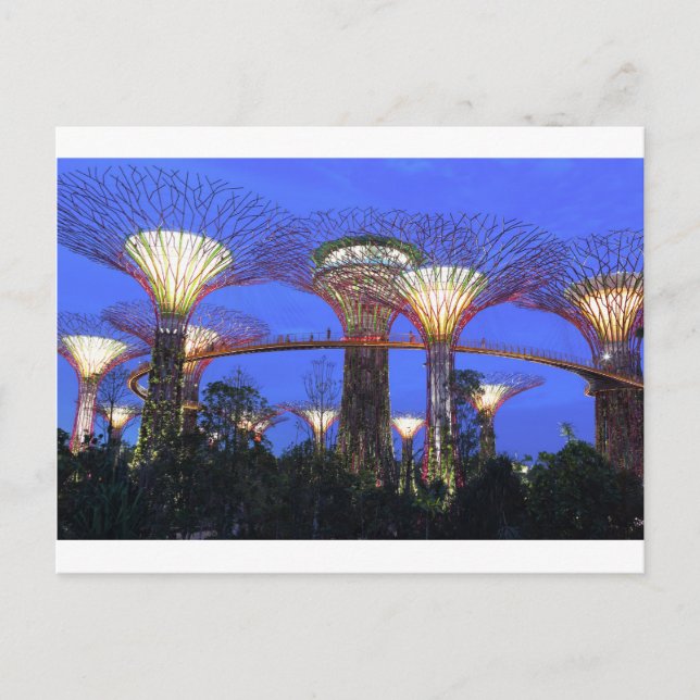 Carte Postale Jardins au bord du parc écologique Bay Singapore (Devant)