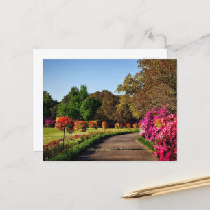 Carte Postale Jardins de Bellingrath, Alabama