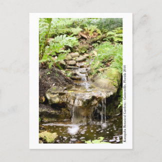 Carte Postale Jardins de Kanapaha - Gainesville 002