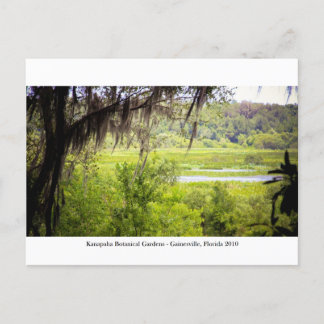 Carte Postale Jardins de Kanapaha - Gainesville 012