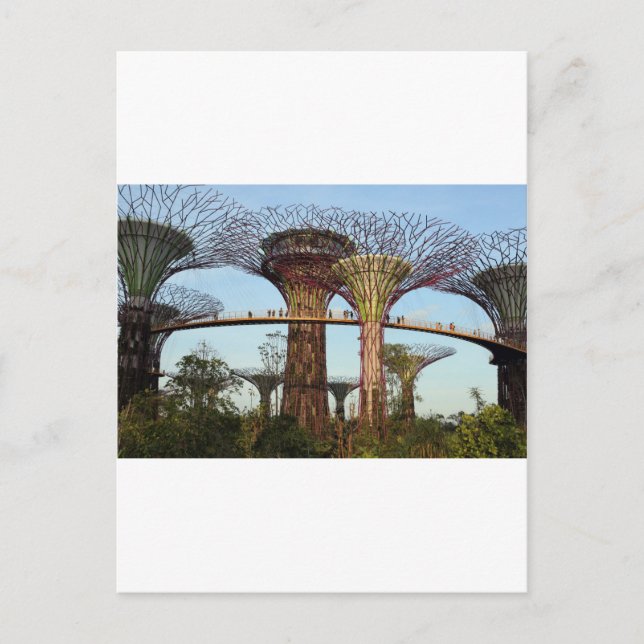 Carte Postale Jardins de la baie de Singapour de l'environnement (Devant)