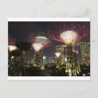 Carte Postale Jardins de la baie de Singapour Supertree Grove