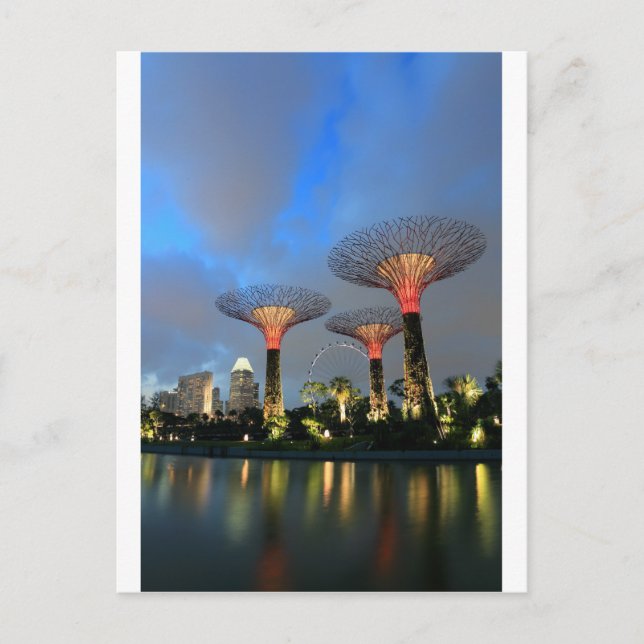 Carte Postale Jardins de la baie Singapore Supertree Grove (Devant)