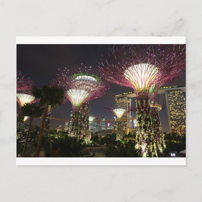 Carte Postale Jardins de la baie Singapore Supertree Grove (Devant)