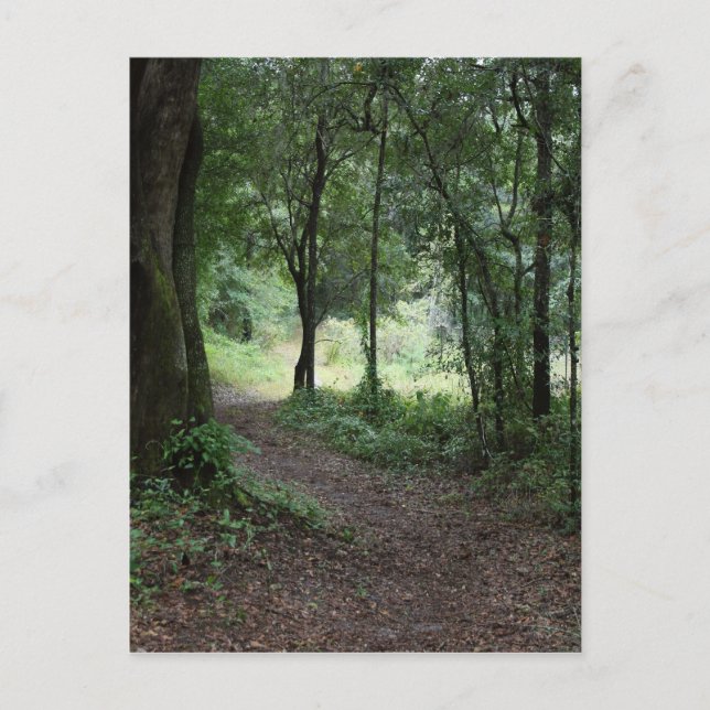 Carte Postale Jardins de Maclay (Devant)