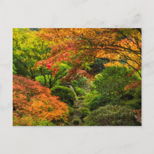 Carte Postale Jardins japonais en automne à Portland, Oregon 2