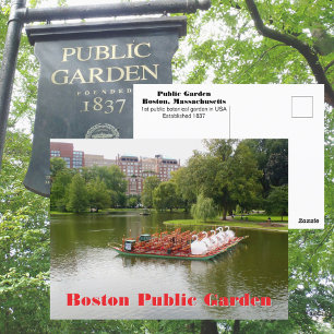 Carte Postale Jardins publics de Boston Swan Boats Photographiqu