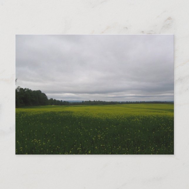 Carte Postale jaune (Devant)