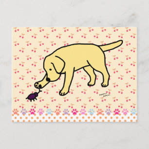 Carte Postale Jaune Labrador