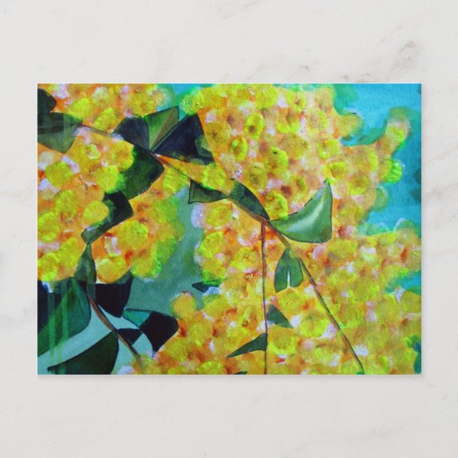 Carte Postale Jaune Wattle (Devant)
